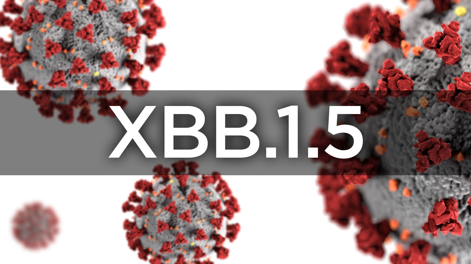 Omicron offshoot XBB.1.5 could drive new COVID-19 surge in US